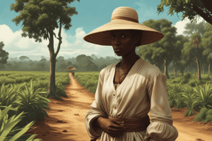 Sugar Plantations: Control of Enslaved Africans