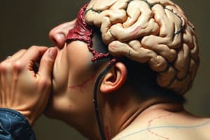 Neuro Trauma and Head Injuries