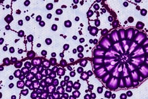 Introduction to Histology and Microscopes