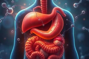 Digestive System Overview Quiz