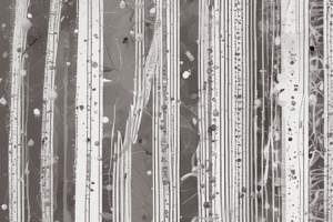 Western Blot Technique