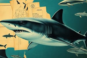 Shark Adaptations and Abilities