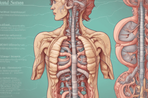 Gastritis and Esophagitis Quiz