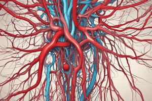 Major Blood Vessels: Pulmonary Arteries