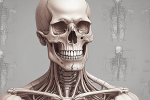 Anatomy of Pectoral Region