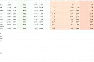 MS Excel Formatting Techniques