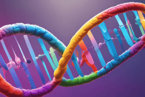 Understanding DNA Structure and Function