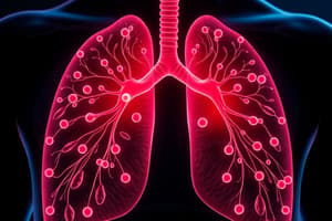 Beta-Adrenergic Agonists Overview