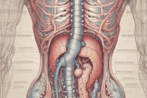 digestion in the mouth