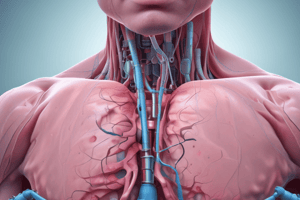 Intraosseous Infusion Technique Quiz