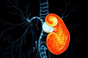 Renal Imaging with ACE Inhibitors