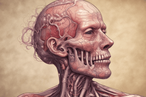 Carcinomas in Organ Tissue and Skin