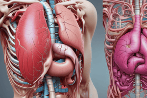 Compartimentos abdominales