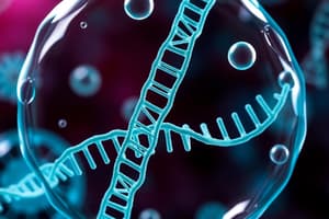 Biology Chapter 5: Cellular Functions