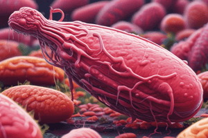 Salmonella Infection Symptoms