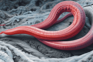 2023 Scientific Discoveries: Awakening of Ancient Worm