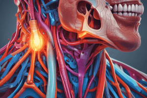 Anatomy of Submental and Submandibular Triangles