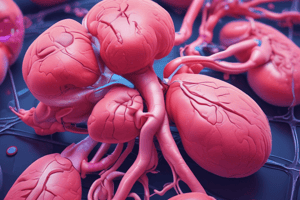 Visualizing Small Kidneys Quiz