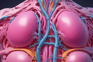 Breast Anatomy and Development Quiz