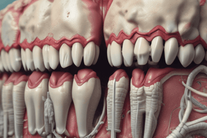 Cementum in Periodontium