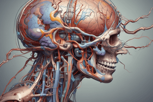 Physiology & Anatomy of Systems: Electrochemical Potentials