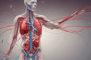 Cardiovascular System and Shock Quiz