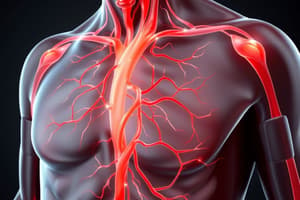 Peripheral Resistance and Blood Volume