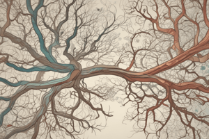 Nervous System Components