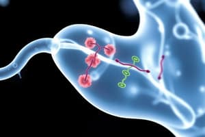 Citric Acid Cycle and Cellular Respiration