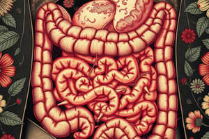 GI Tract Circulation and Histology