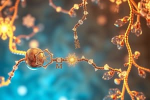 Electron Transport Chain Overview