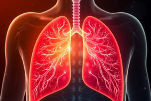 Respiratory System Functions Quiz