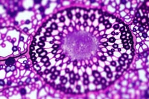 AGRC1041: Cell Ultrastructure & Histology Quiz