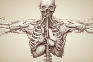 Lower Respiratory Tract Structure and Function Quiz