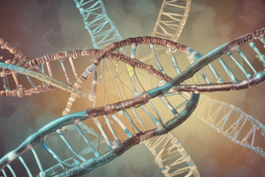 Biology Chapter on DNA and Heredity