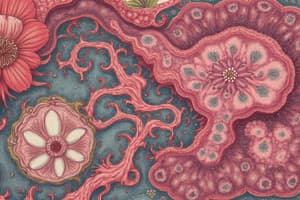 Animal Tissues: Epithelial Tissue
