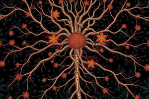 Introduction to the Nervous System