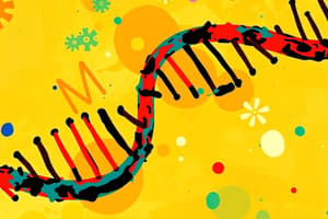 Biology DNA and mRNA Flashcards