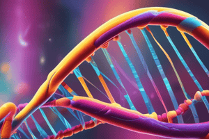 Chapter 7: DNA Structure and Replication