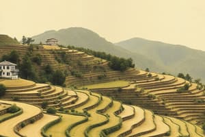 Terracing Techniques in Agriculture