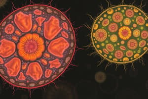 Eukaryotic and Prokaryotic Cells