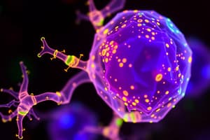 GFP e piccole RNA: Vantaggi e Funzioni