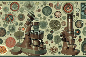 Microscope True or False Quiz