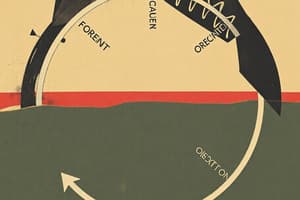 Urea Cycle Overview