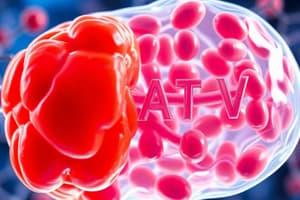 Glycolysis and Anaerobic Respiration