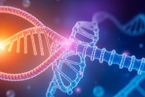 Molecular Basis of Inheritance and Gene to Protein