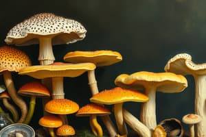 Fungi as Infectious Agents and Classification