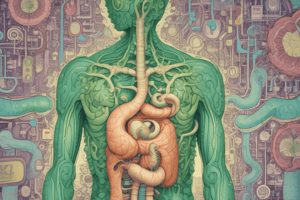 Functions of Hydrochloric Acid in Digestion