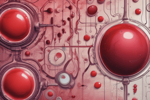 ABO Blood Group System