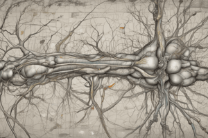 Upper Limb Nerve Lesions and Classification